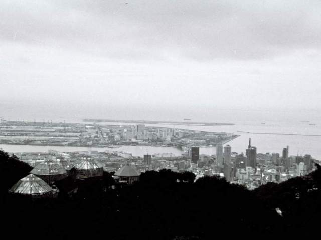 Cropped view on Kobe